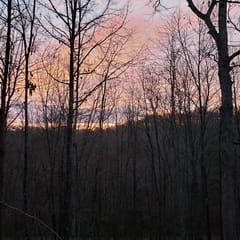 Squirrels Hideaway | Fire Pit | MTN Views