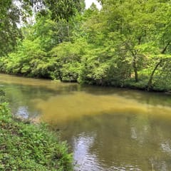 Gone Fish Inn| Creek Frontage| Hot Tub| Pool Table