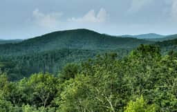 Vistas Over Aska | Pet Friendly | MTN Views | - Image 5