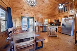 Beary Sweet- Hot Tub, MTN View - Image 5