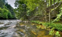 A Tranquil Place - Image 3