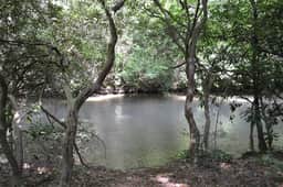 Sweetwater Escape | Hot Tub | Creek Access - Image 2