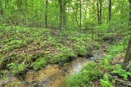 Stokes Haven | Pet Friendly | Hot Tub | Creek - Image 2