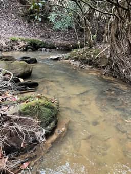 Hidden Creek- Trail to Creek, Hot Tub, Pool Table - Image 3