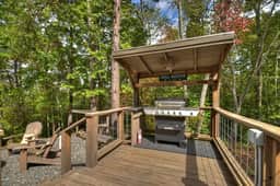 Blueberry Hill- Fire Pit, MTN Views, Grill - Image 3