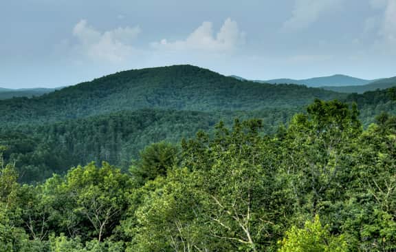 Vistas Over Aska | Pet Friendly | MTN Views | - Image 5