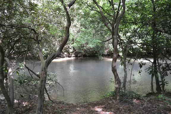 Sweetwater Escape | Hot Tub | Creek Access - Image 2