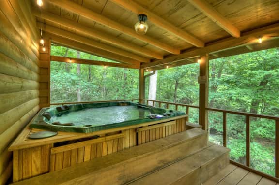 At Water's Edge|Hot Tub|Fish From Cabin|Secluded - Image 2