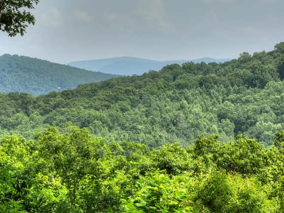 Kane's Nest-MTN View|Wrap Around Deck - Image 2