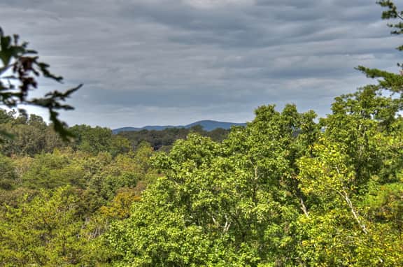 Blueberry Hill- Fire Pit, MTN Views, Grill - Image 5