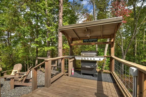 Blueberry Hill- Fire Pit, MTN Views, Grill - Image 3