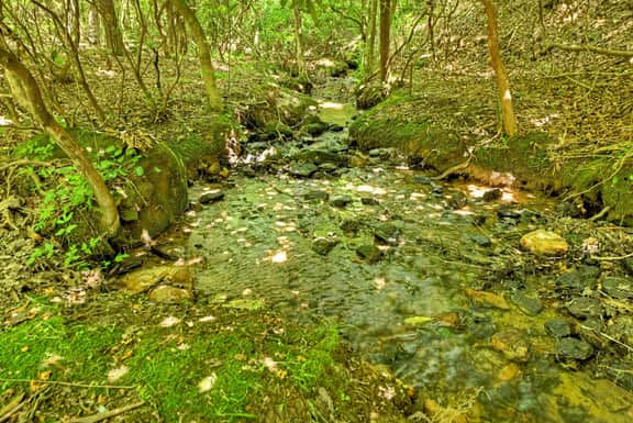 Serenity Creek | Pet Friendly | Hot Tub | Fire Pit - Image 2