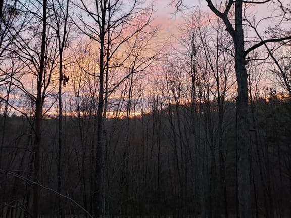 Squirrels Hideaway | Fire Pit | MTN Views - Image 1