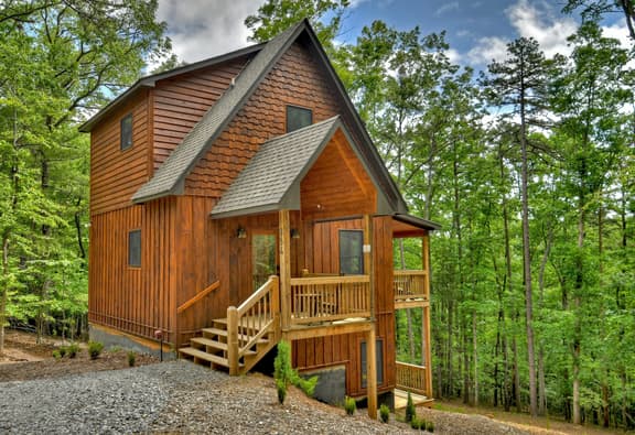 Hoot Owl Cottage-Fire Pit, Hot Tub, Charcoal Grill - Image 1