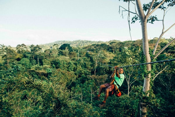 Zip line over forest canopy