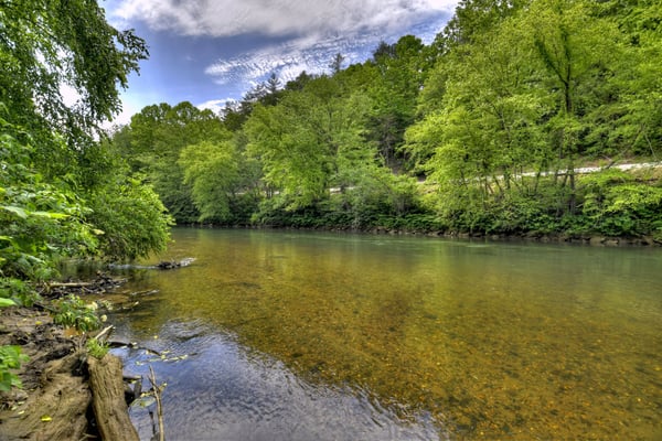 Ocoee river wildlife area