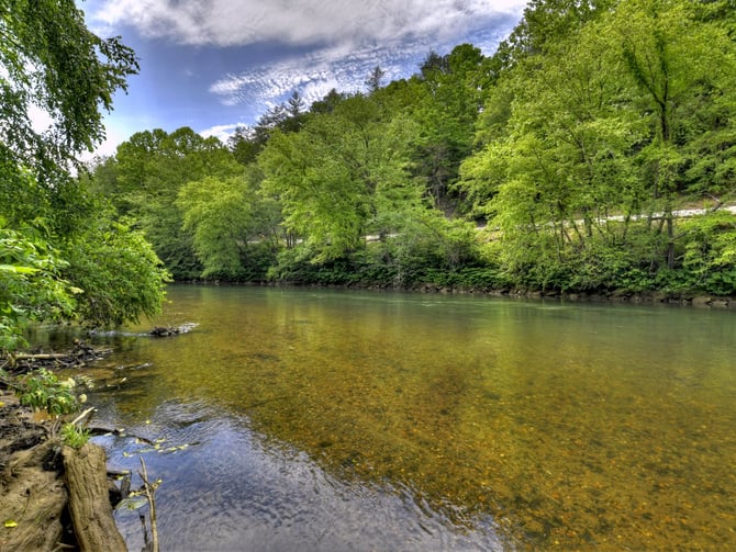 Clear Ocoee River with green tree canopy