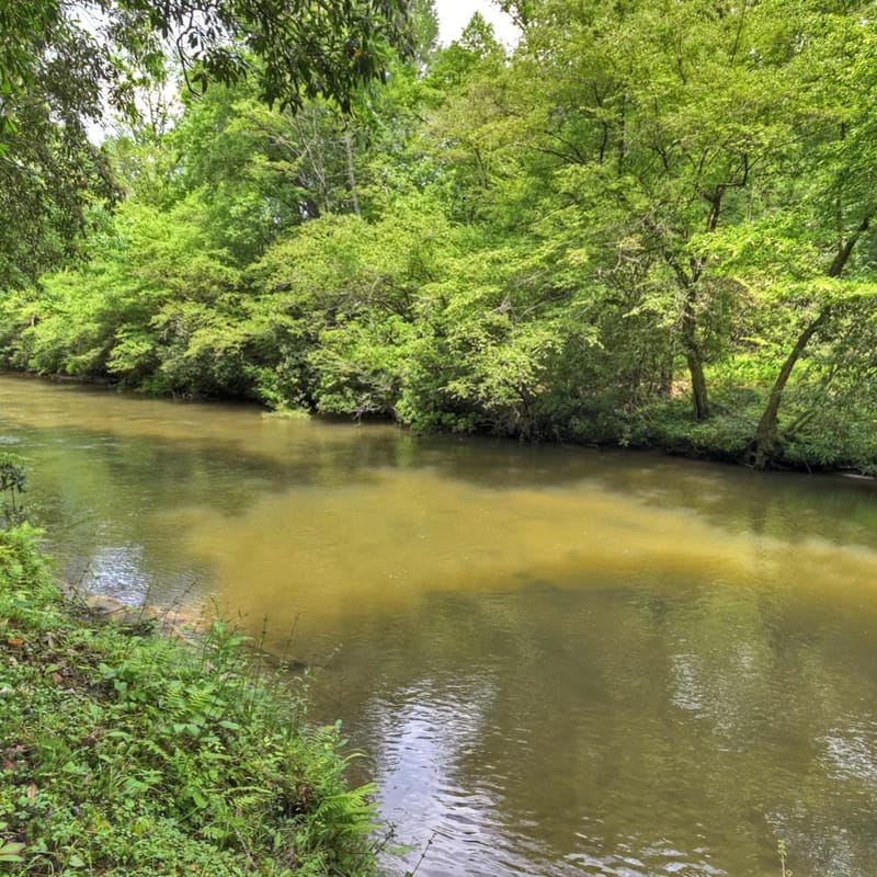 Gone Fish Inn| Creek Frontage| Hot Tub| Pool Table